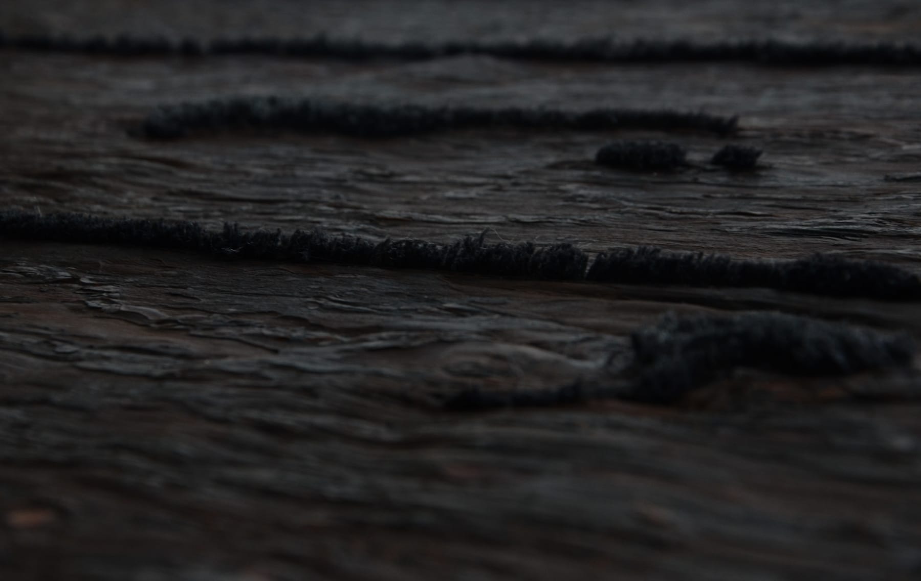 Sarmite Polakova, PineSkins, Kilimas / Rug