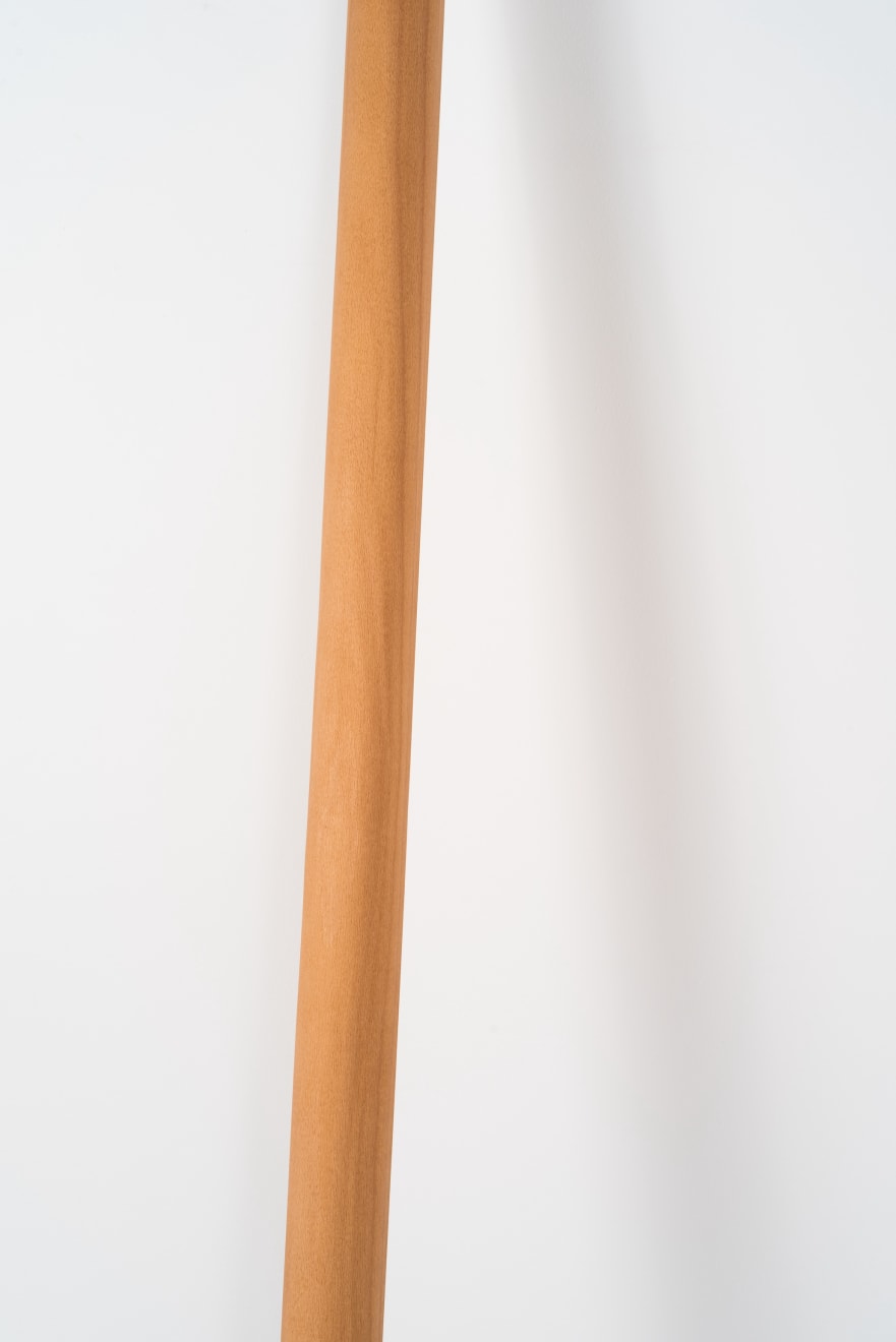 Milda Palivonaitė, LIT THINGS / Light Fixture no. 3 / šviestuvas nr. 3, 2024