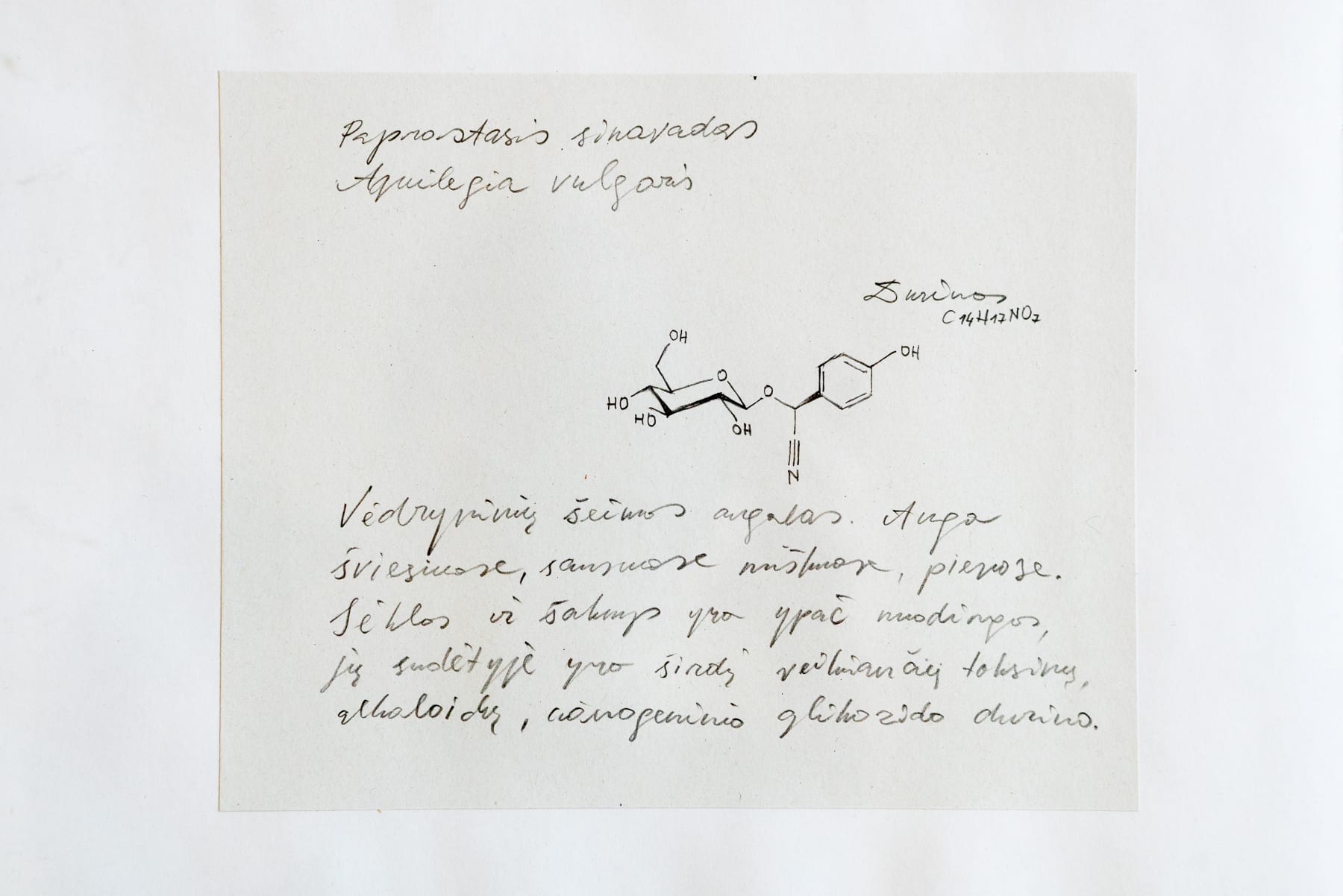 Laura Garbštienė, Iš ciklo "Gamtos pažinimo kambarys" (77 vnt.) / From cycle "Room of nature studies" (77 pieces), 2012