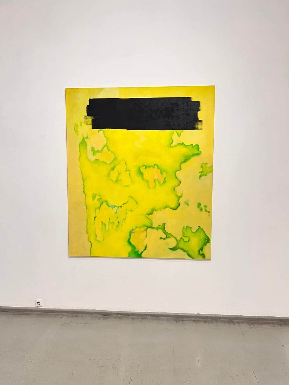 Benas Matijošaitis, Anodia, 2024