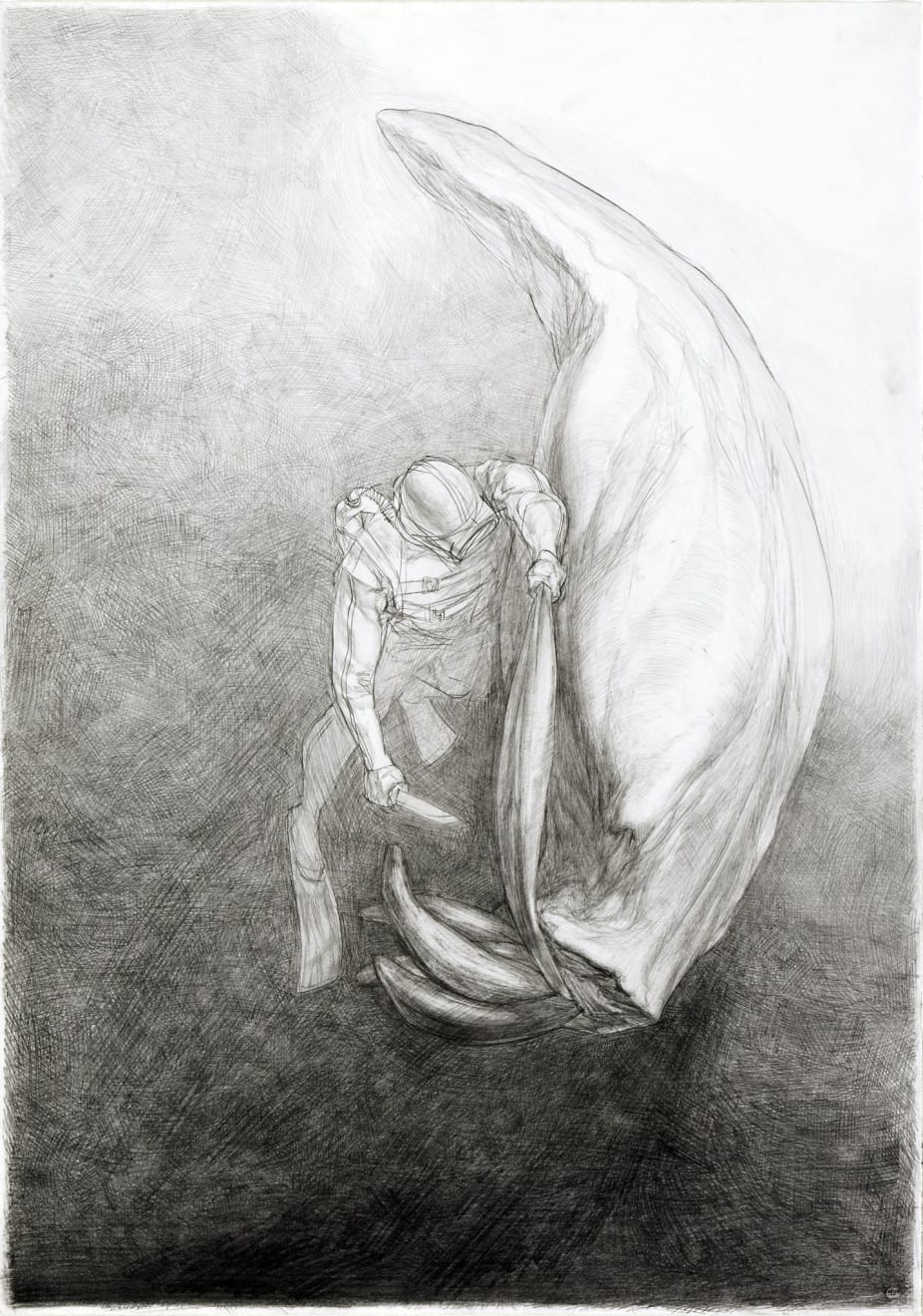 Mindaugas Lukošaitis, Gyvulys / Animal, 2007