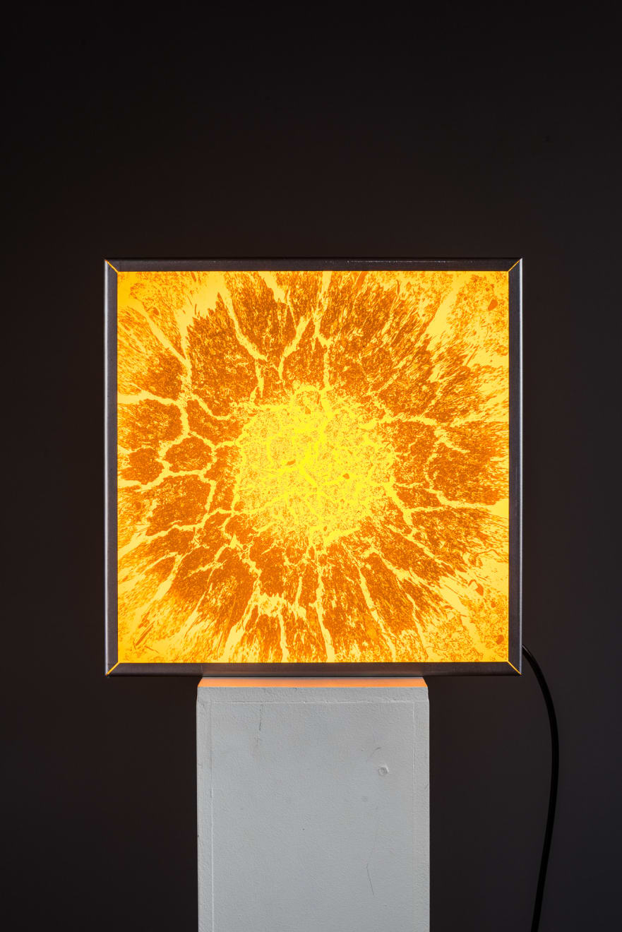 Faktura, Lumina terra | 2nd edition, 2025