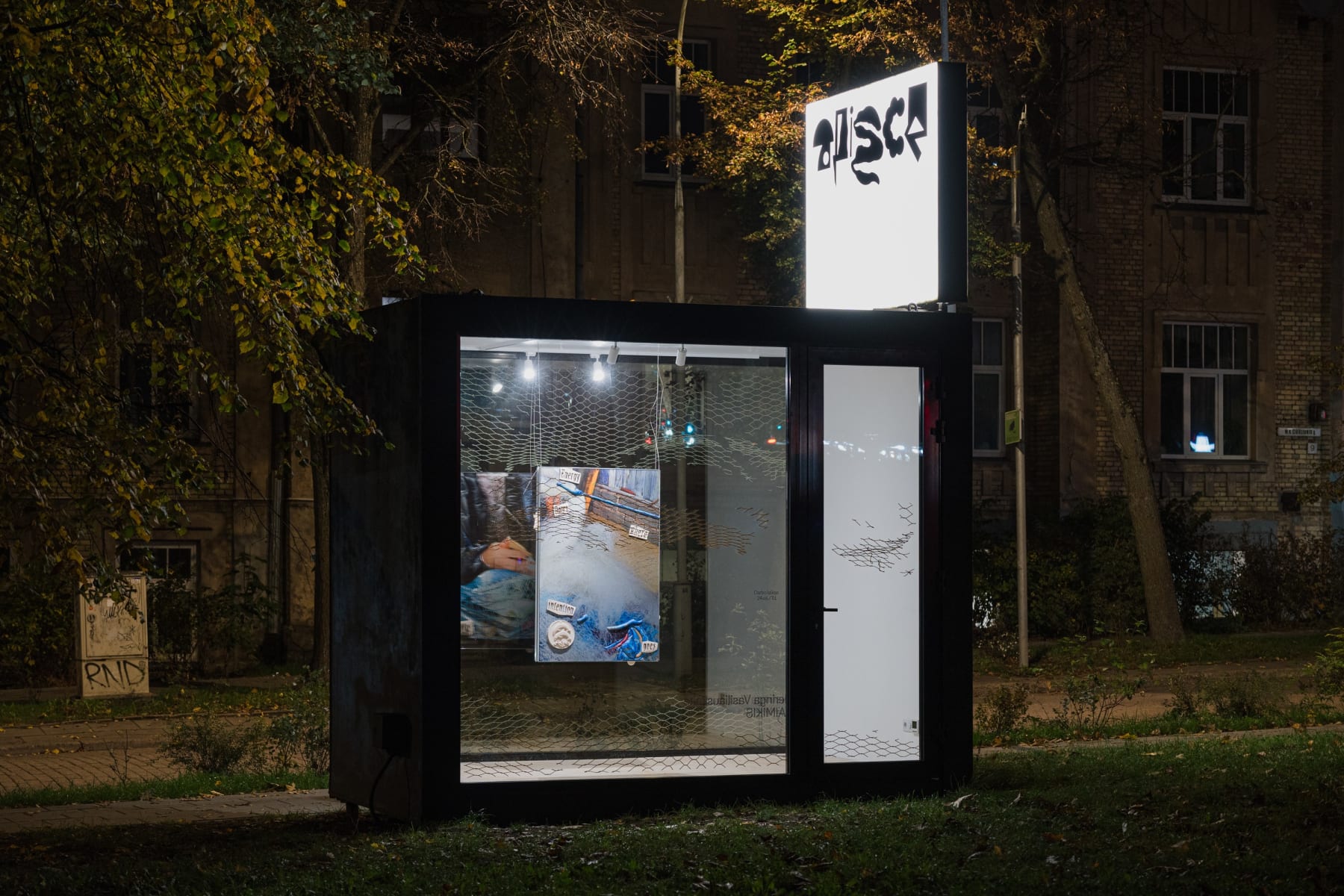Neringa Vasiliauskaitė, Catch 2, 2024