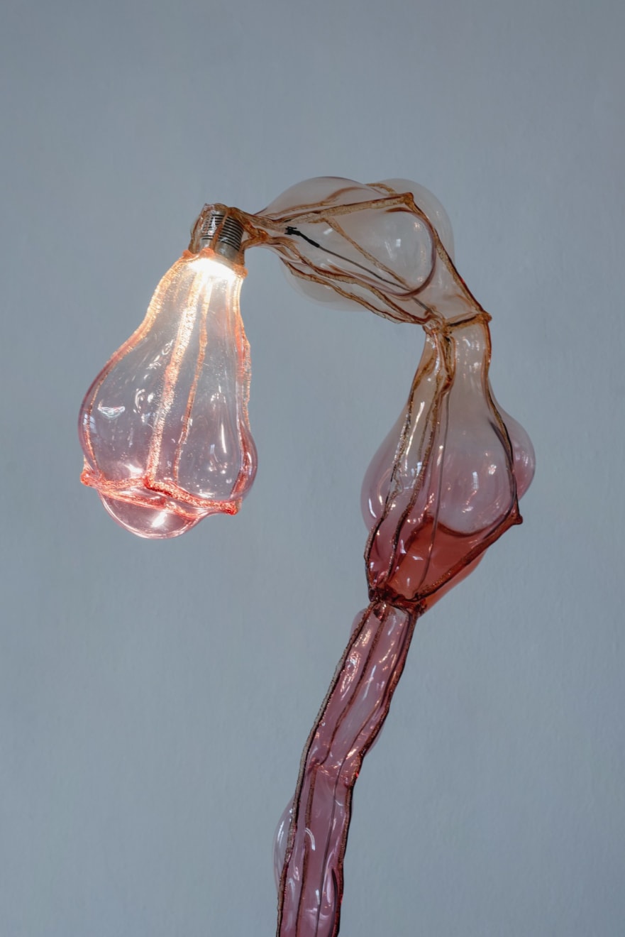 Dorian Renard, Deformacijos grožis / The Beauty of Distortion , Grindų šviestuvas / floor lamp