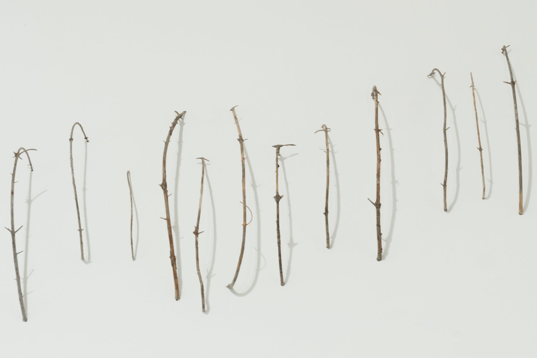 Vajiko Chachkhiani, Endless Ends / Pabaigos be pabaigos, 2015