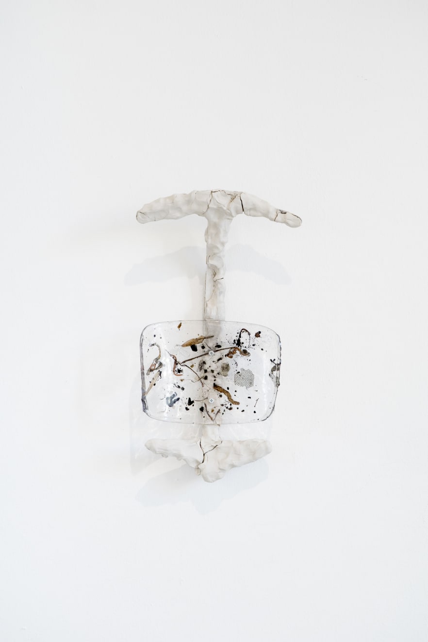 Anastasija Sosunova & Andrea Zucchini, Sunkus skrandis / Heavy Stomach, 2018