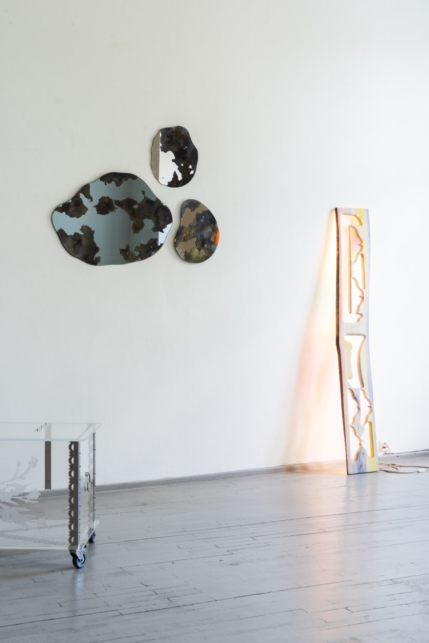 Eglė Pilkauskaitė, Camouflage veidrodis / mirror , 2025