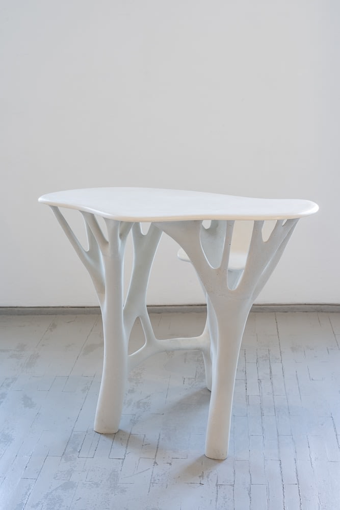 Mykolas Kavaliauskas, TENERE, Stalas / table
