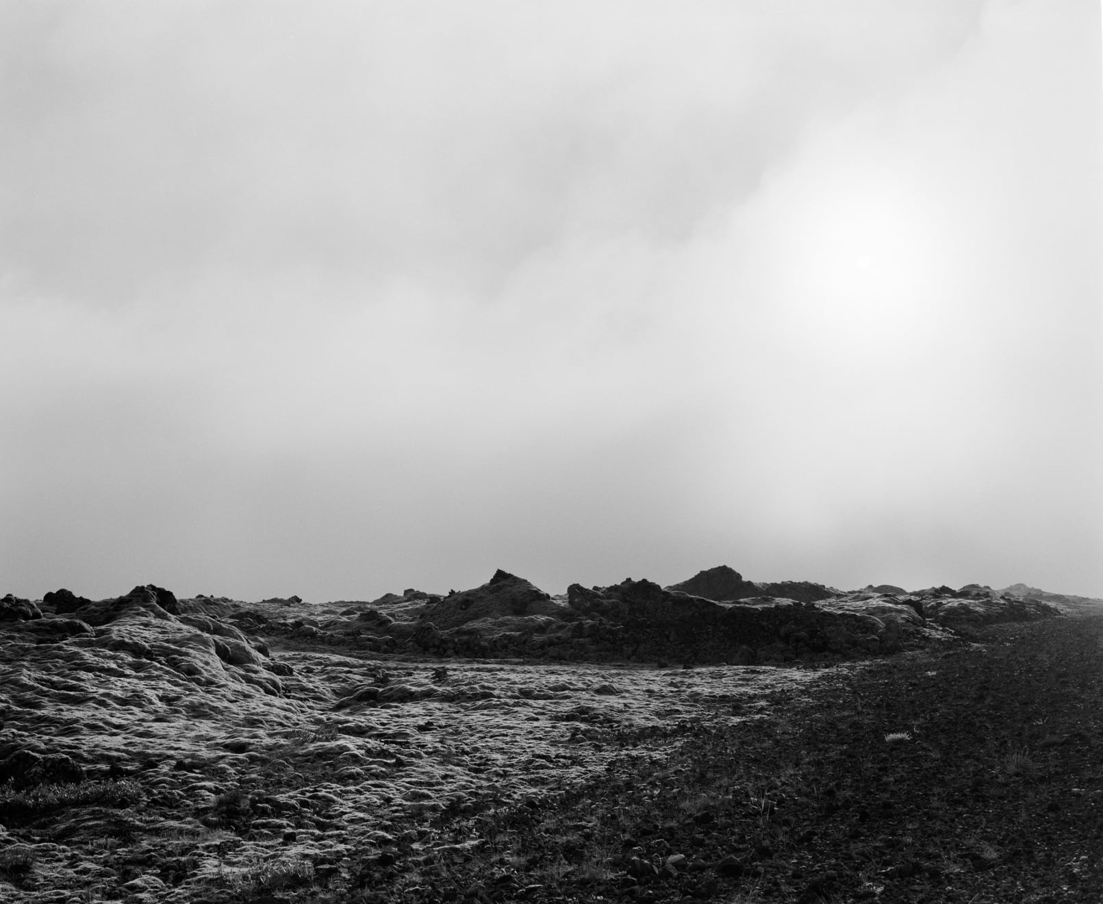 Geistė Marija Kinčinaitytė, Untitled, 2014