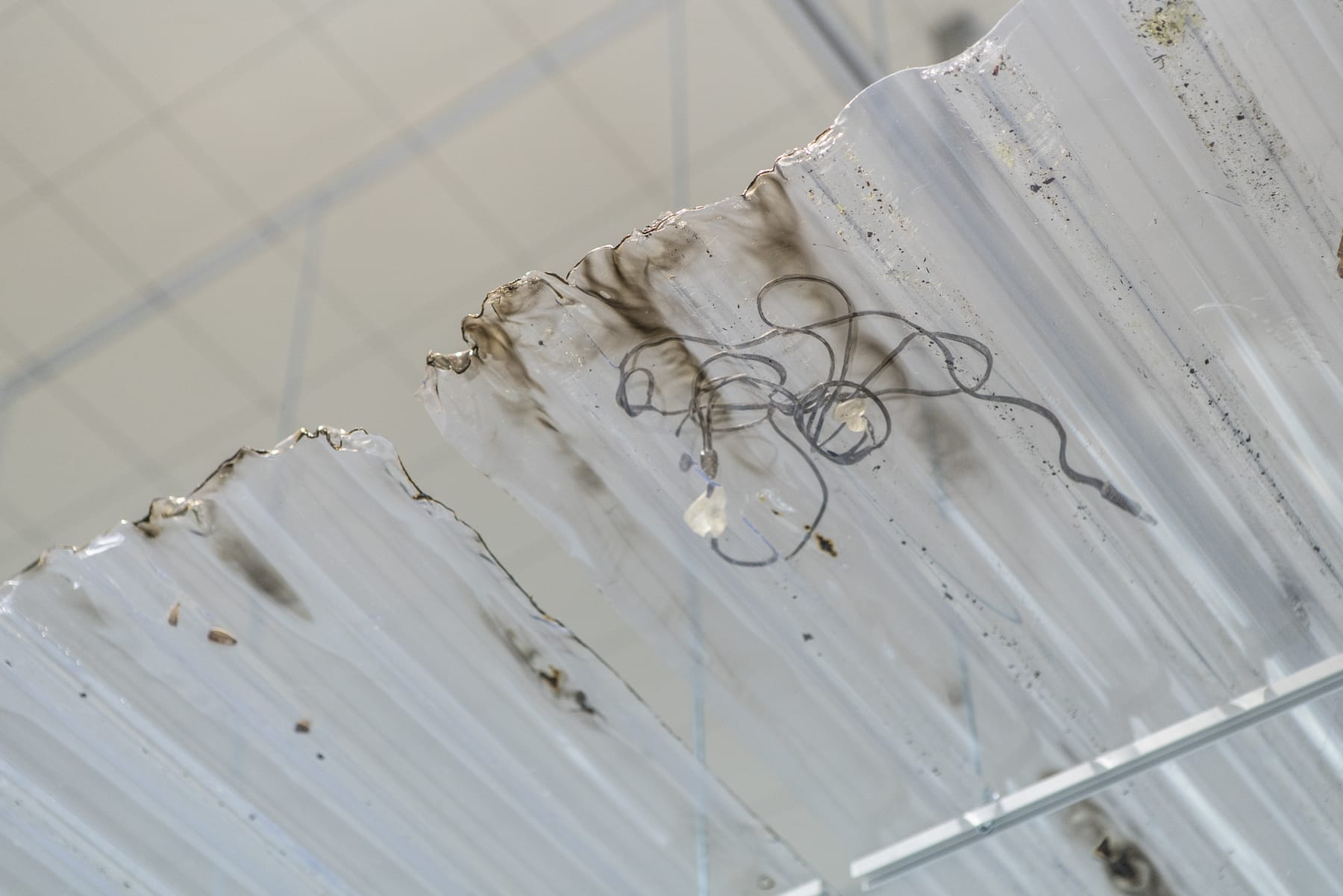 Anastasija Sosunova & Andrea Zucchini, Švelniai kviečiant vienas kitą / Call Softly to One Another, 2018