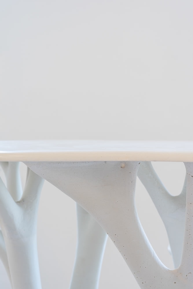 Mykolas Kavaliauskas, TENERE, Stalas / table