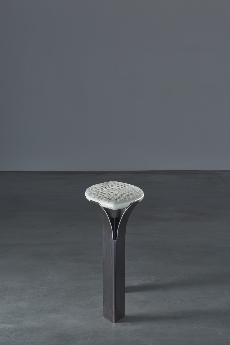 Mantas Lesauskas, Arapaima, Konsolė / console