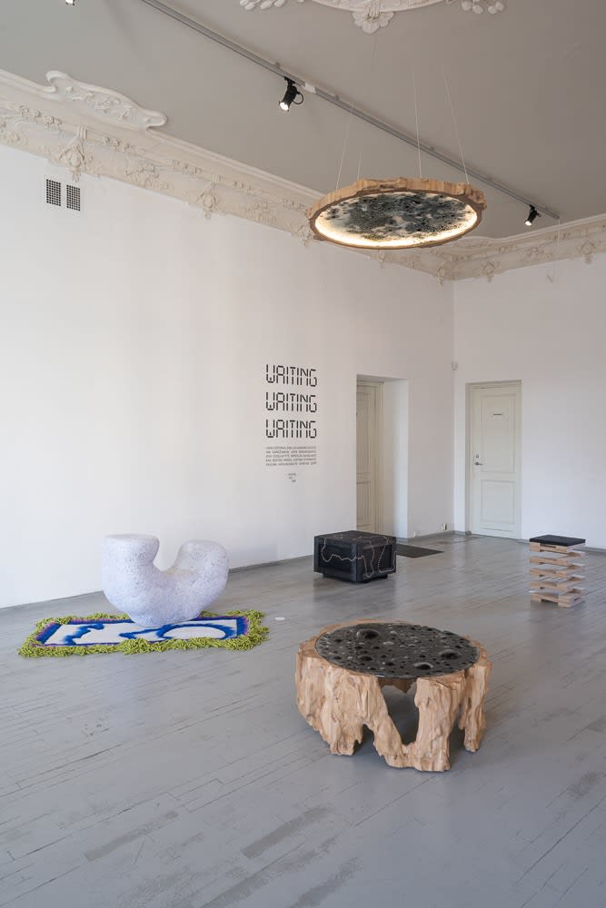 Paulina Vasiliauskaitė, Pelkė Laumėms*, Virš vandens / Swamp of Laumės, 2023