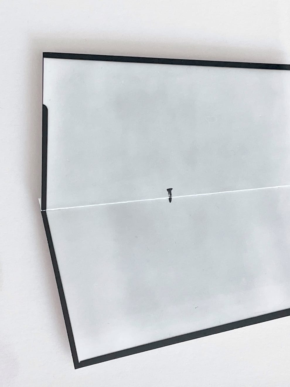 Evelina Kerpaitė, Vinys, 2014