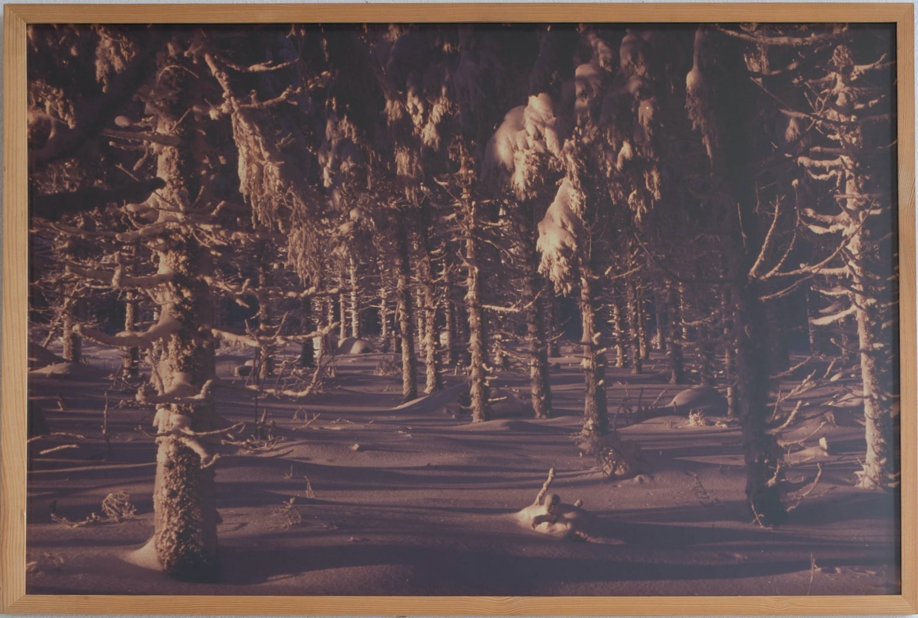 Laura Garbštienė, From the series Tundra, 2010