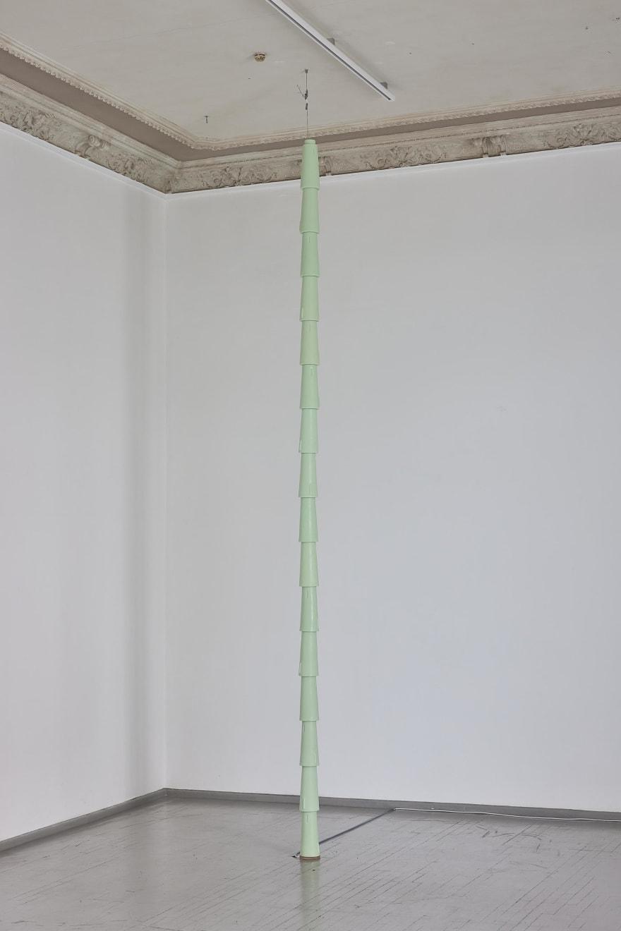 Daydreaming Objects, SOFT SOLID (stem), 2023 - 2024