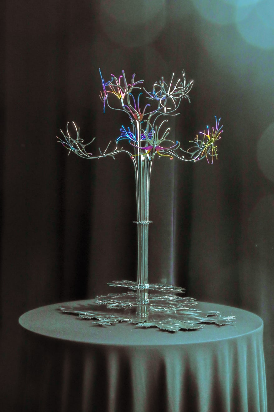 Eugenija Tereščenko, BACCARUBI Fruit Display, 2024