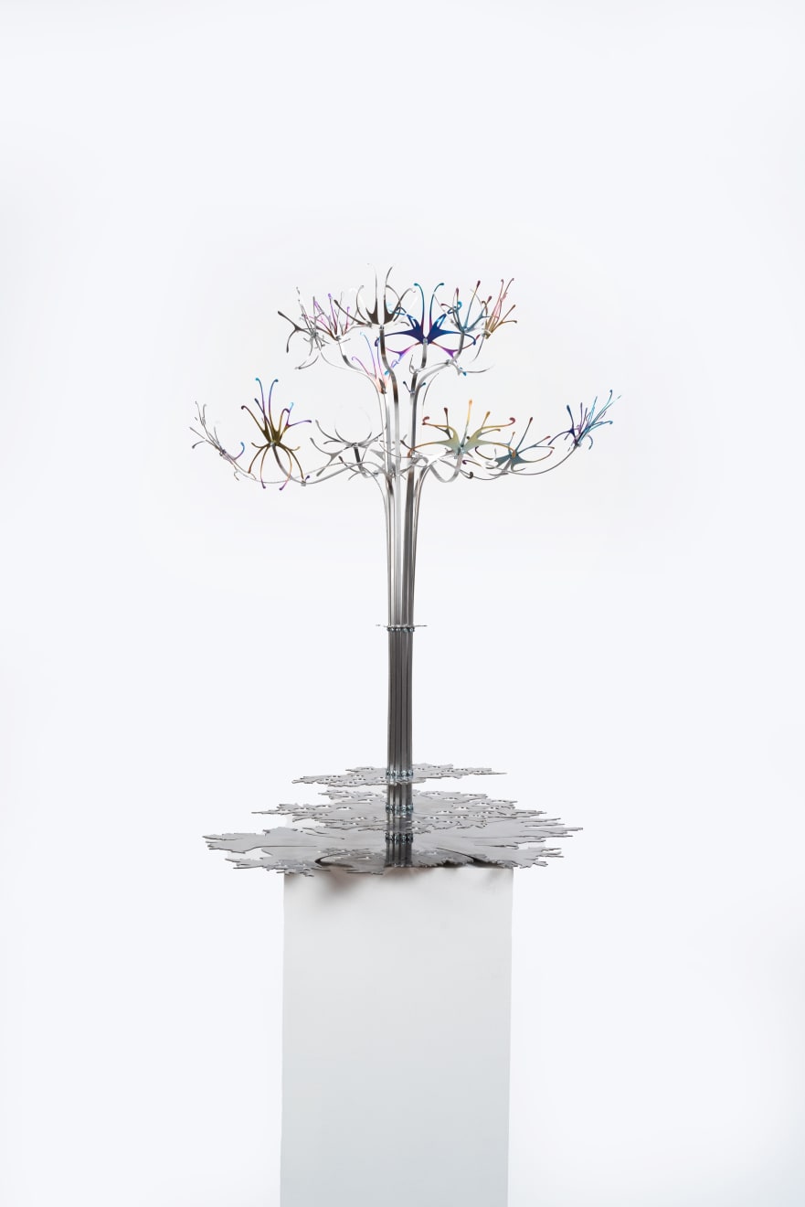 Eugenija Tereščenko, BACCARUBI Fruit Display, 2024