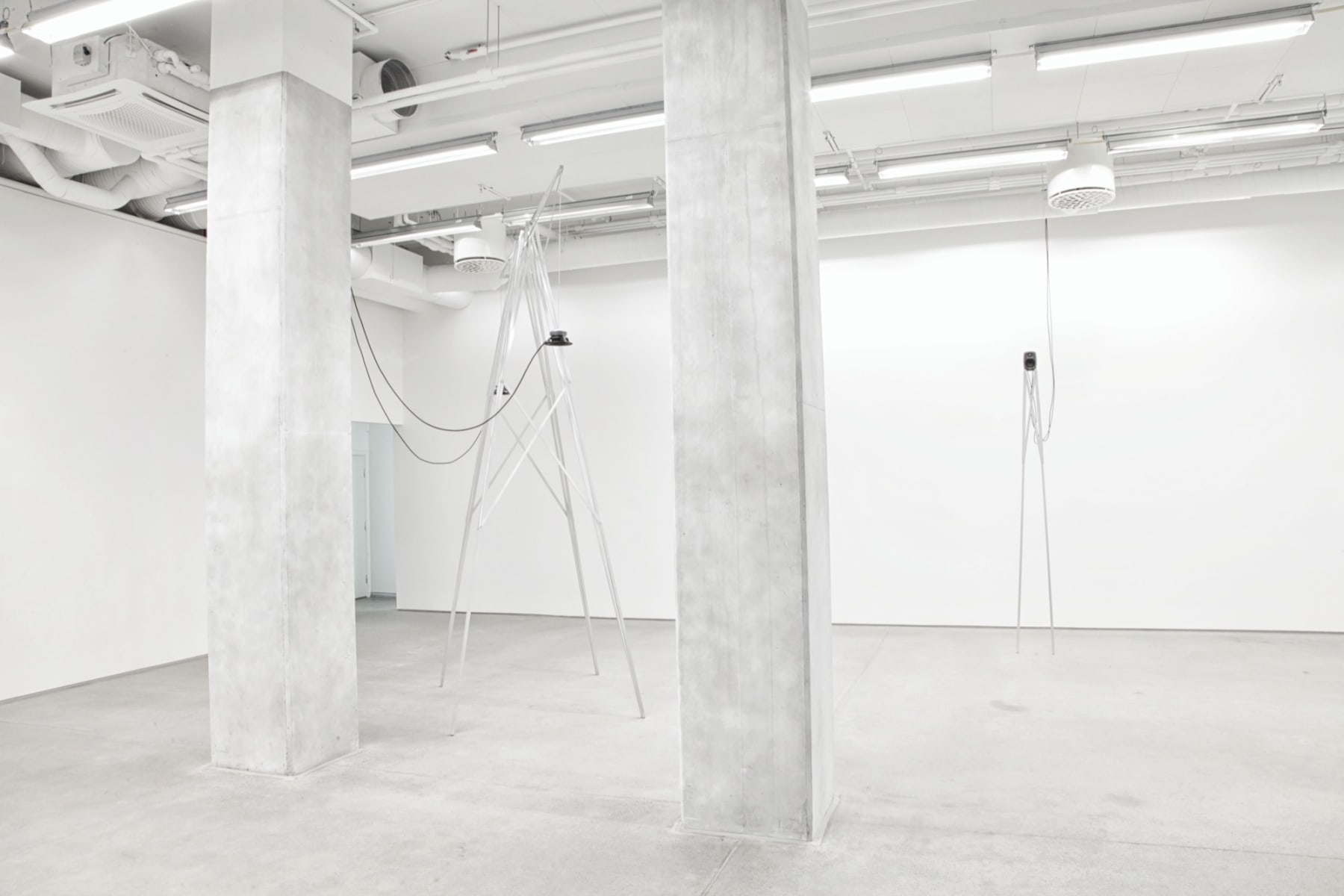 Ignas Krunglevičius, Compulsion to Repeat, 2017