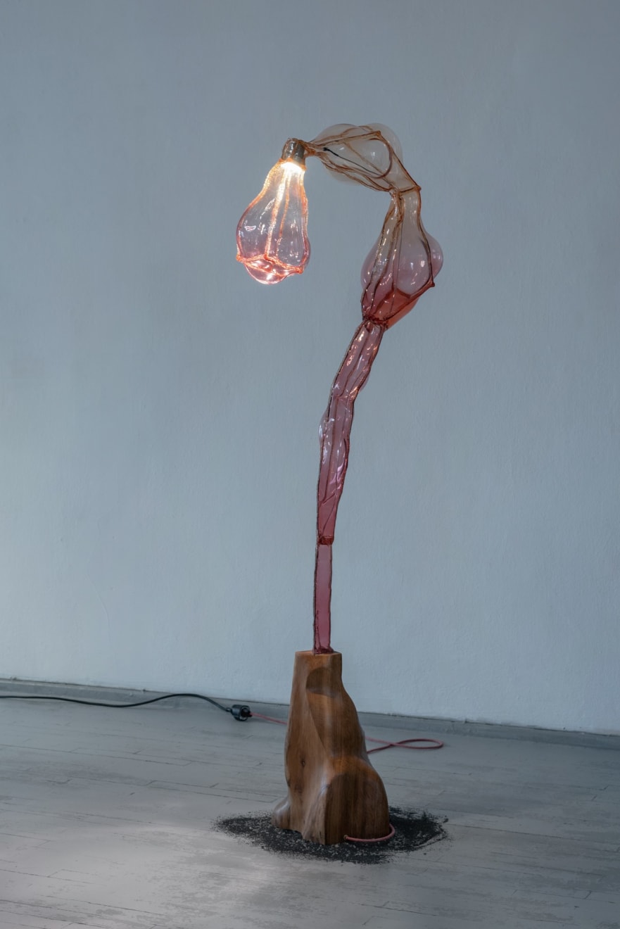 Dorian Renard, Deformacijos grožis / The Beauty of Distortion , Grindų šviestuvas / floor lamp