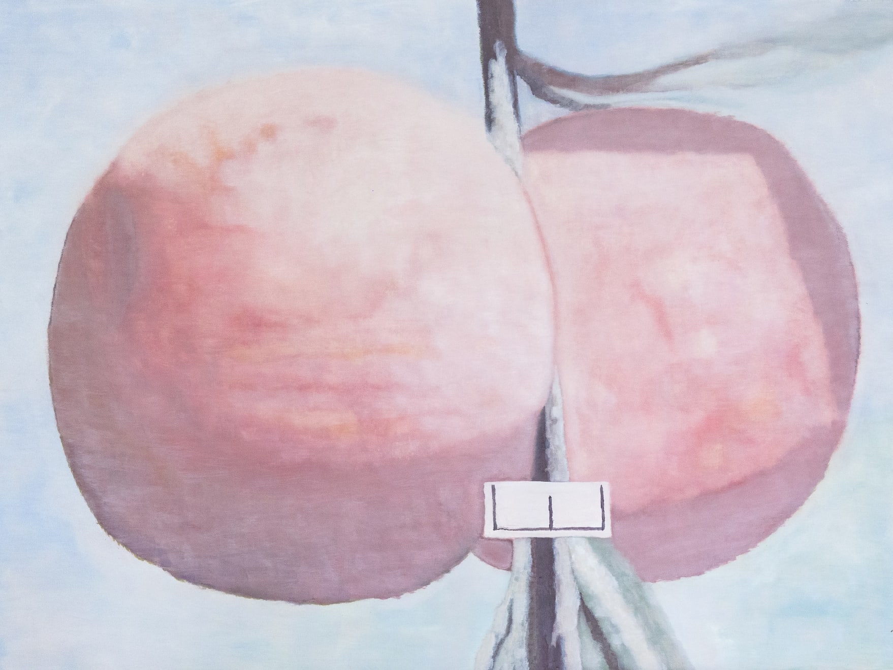 Mantas Platūkis, Identification (Apples), 2024