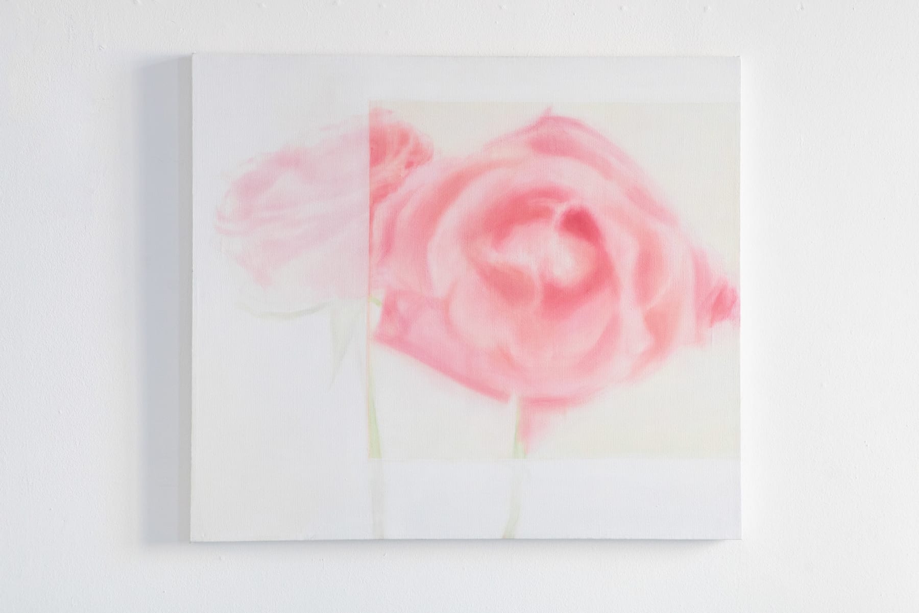 Donata Minderytė, Richteris tai padarė/dvi rožės įrėmintos balta / Richter Did It/Two Roses Reframed With White, 2019