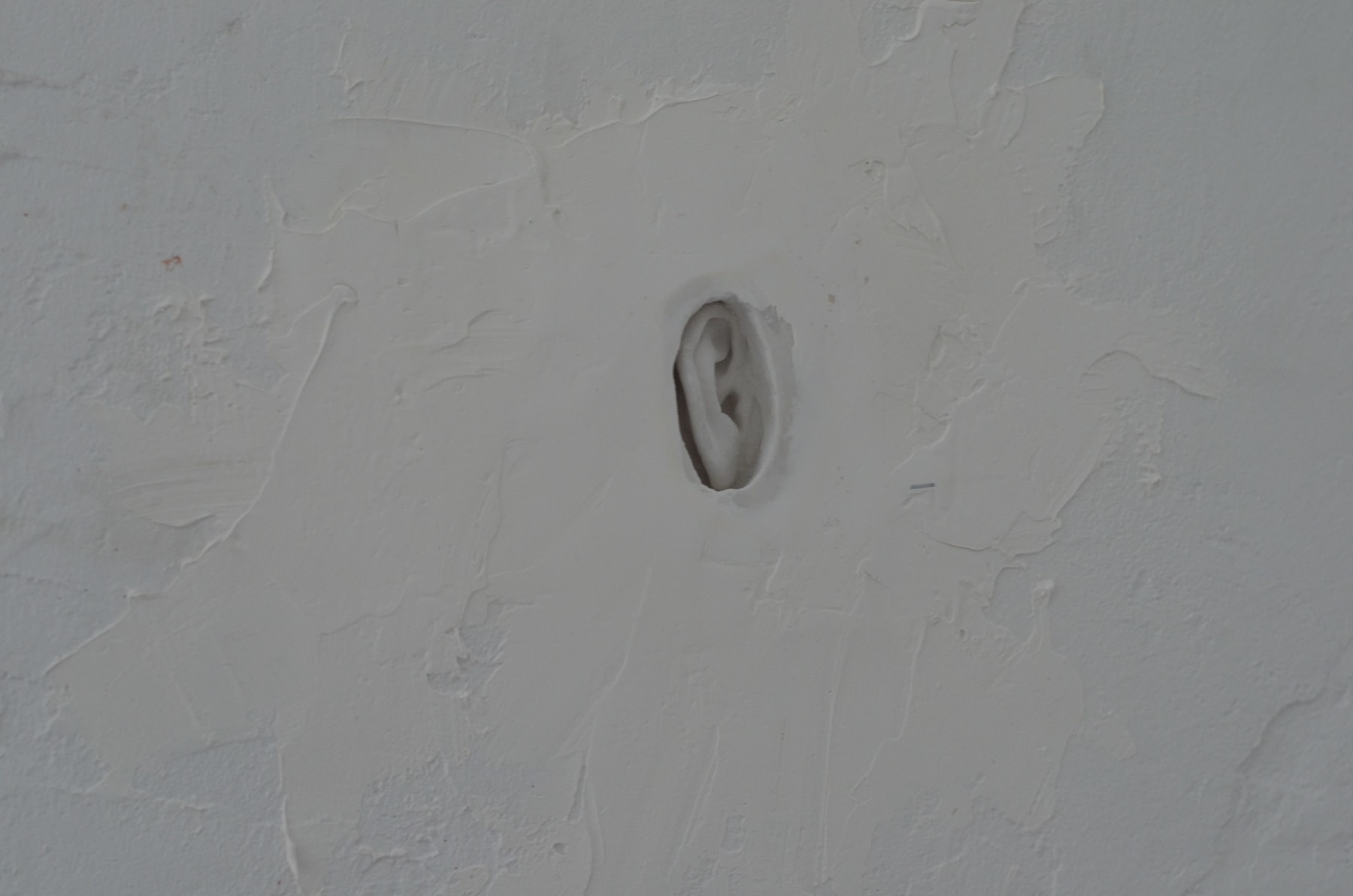 Agata Orlovska, Menininkės ausis, įstatyta į sieną / The Artist's Ear, Set in the Wall, 2023