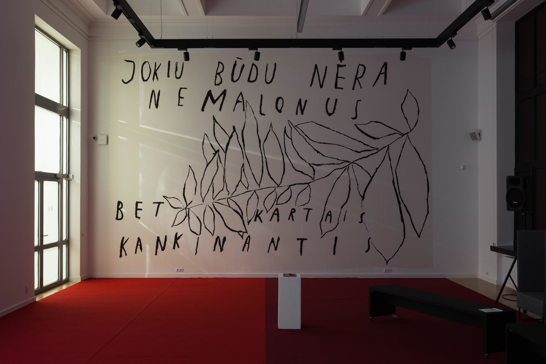 Ieva Rojūtė, Oras man labai patinka, gamta graži, žmonės čia linksmesni / I like weather here a lot, nature is beautiful and people are more cheerful, 2017