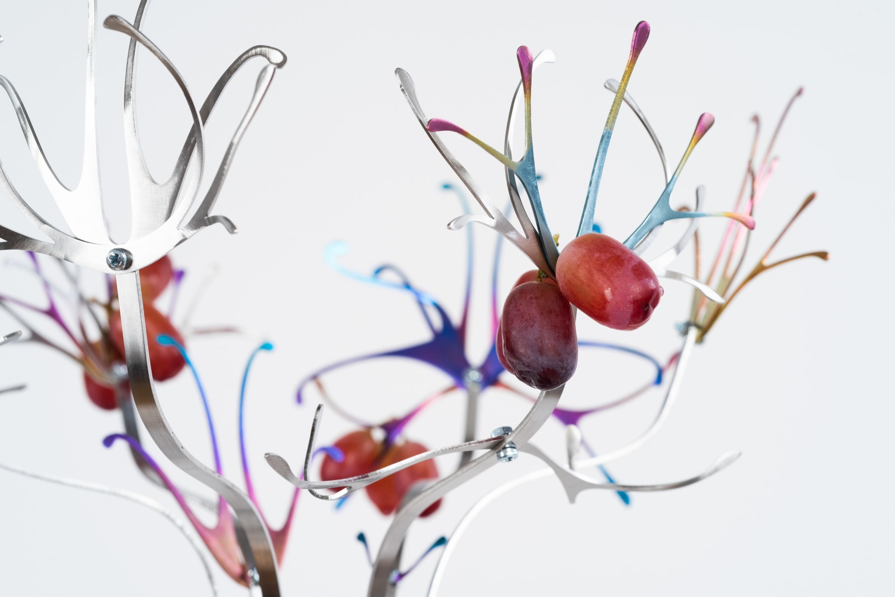 Eugenija Tereščenko, BACCARUBI Fruit Display, 2024