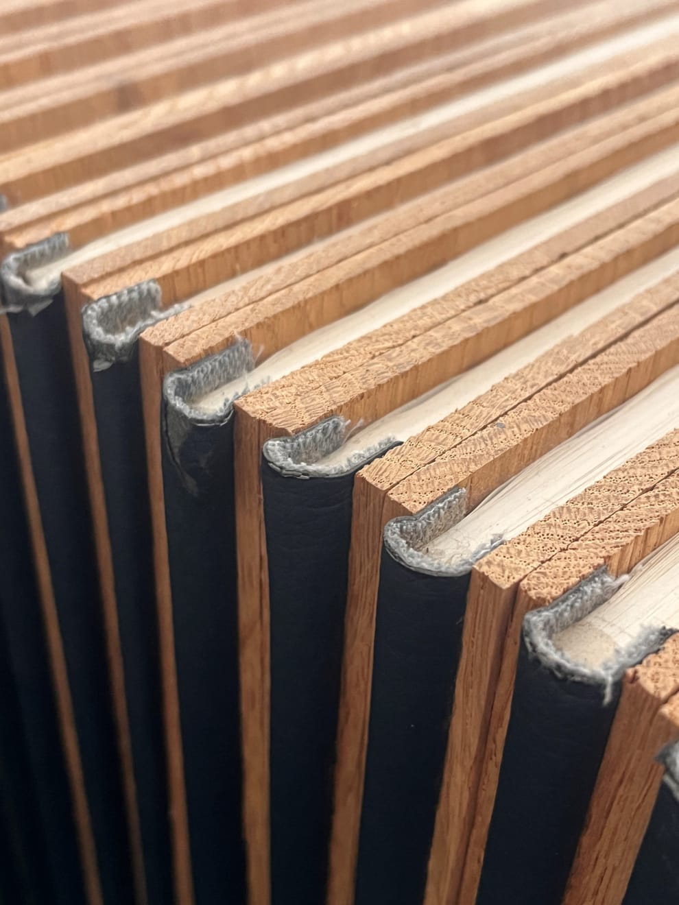 Laura Garbštienė, Lentyna / Shelf, 2008