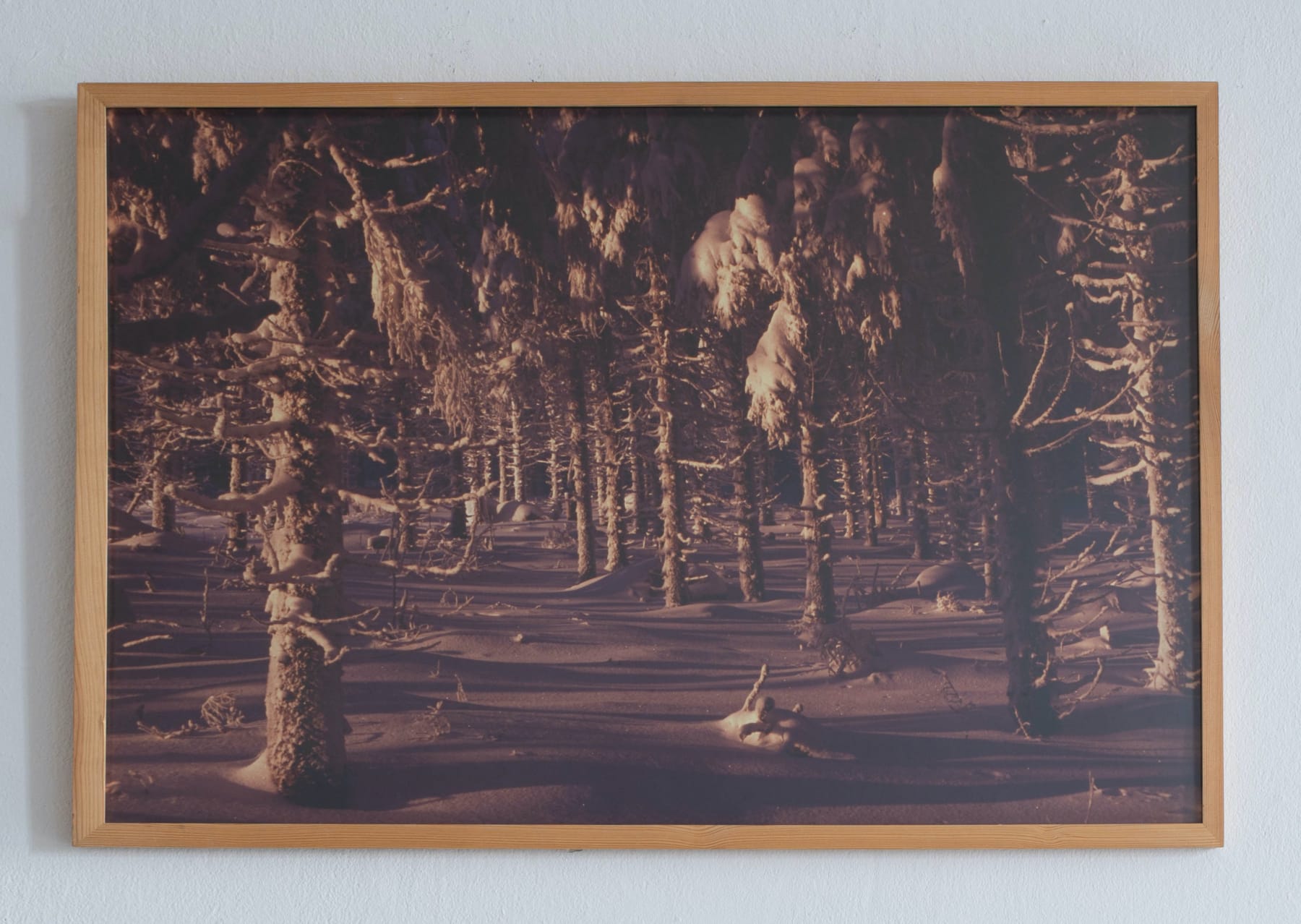 Laura Garbštienė, From the series Tundra, 2010