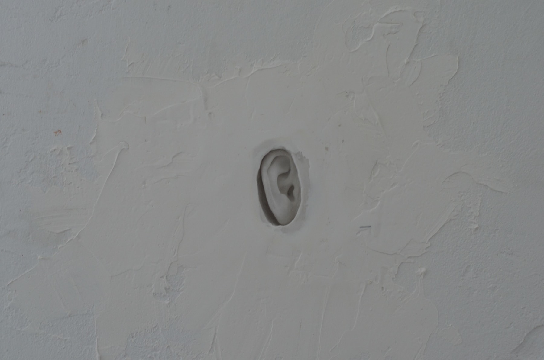 Agata Orlovska, Menininkės ausis, įstatyta į sieną / The Artist's Ear, Set in the Wall, 2023