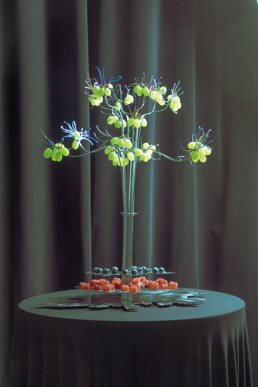 Eugenija Tereščenko, BACCARUBI Fruit Display, 2024