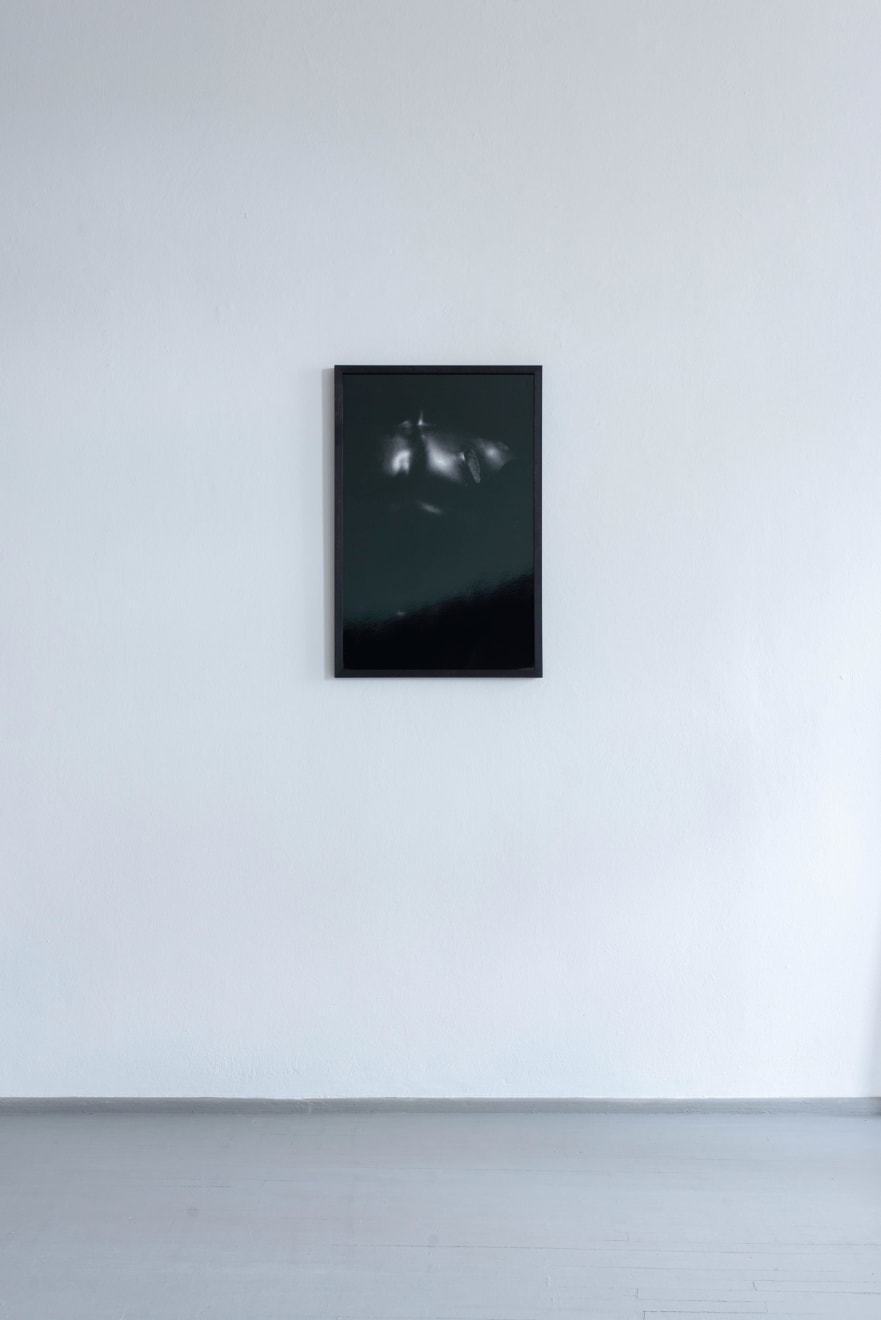 Geistė Marija Kinčinaitytė, Torso II, 2019