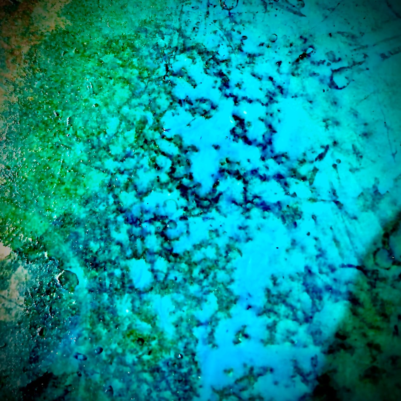 Walter Erra Hubert, Untitled 31, 2024