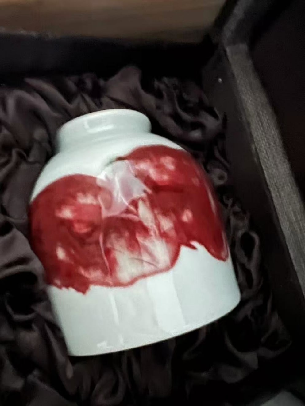 Zhengyao Zuo, Cup VI