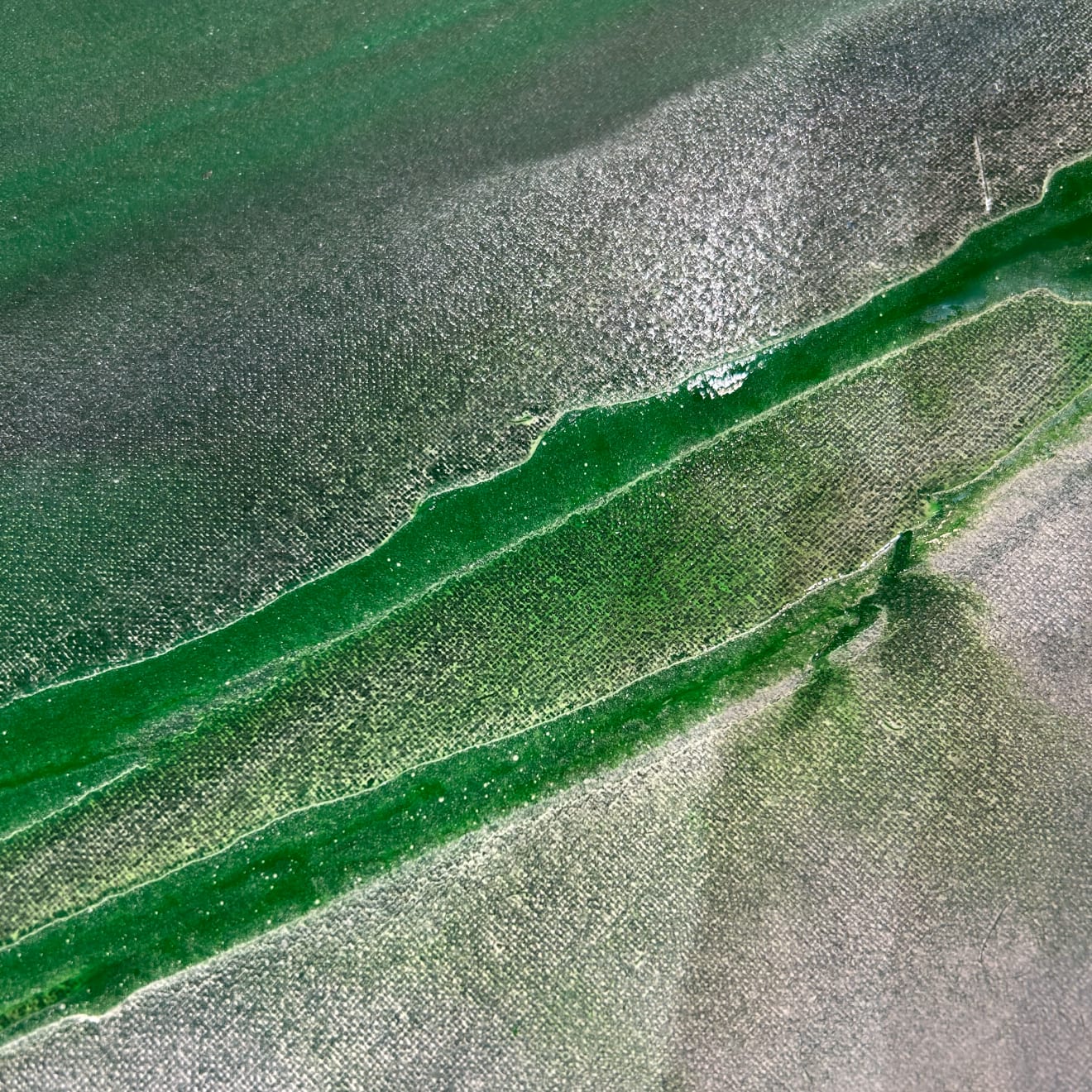 Walter Erra Hubert, Untitled 32, 2024