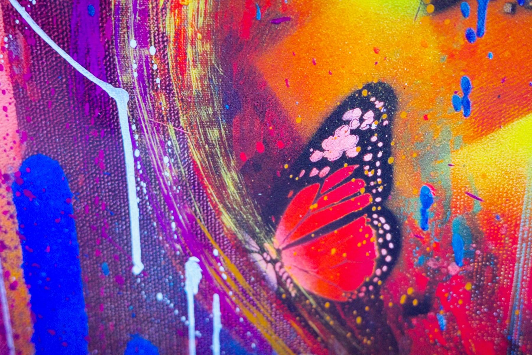 Risk Rock, Monarch Heart, 2025