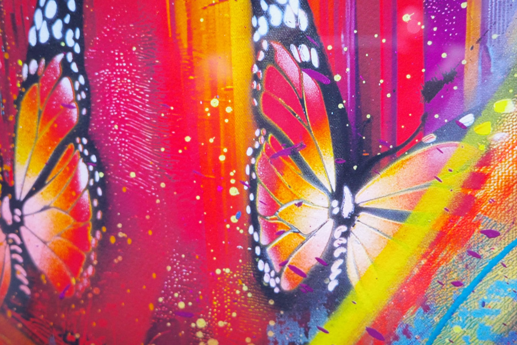 Risk Rock, Monarch Heart, 2025