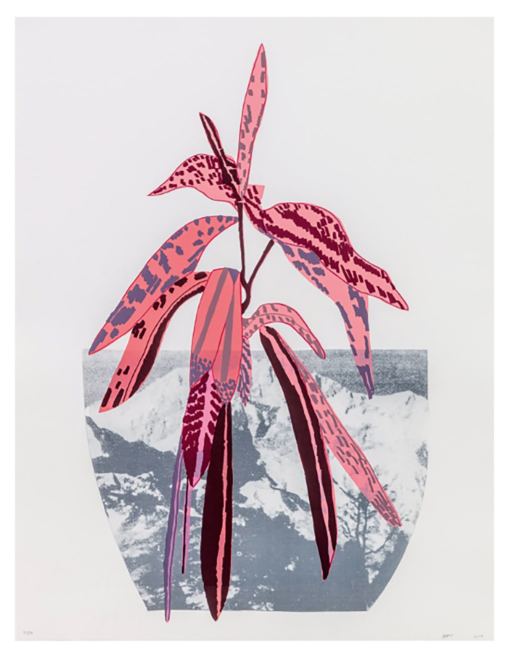 Jonas Wood, Untitled, 2014