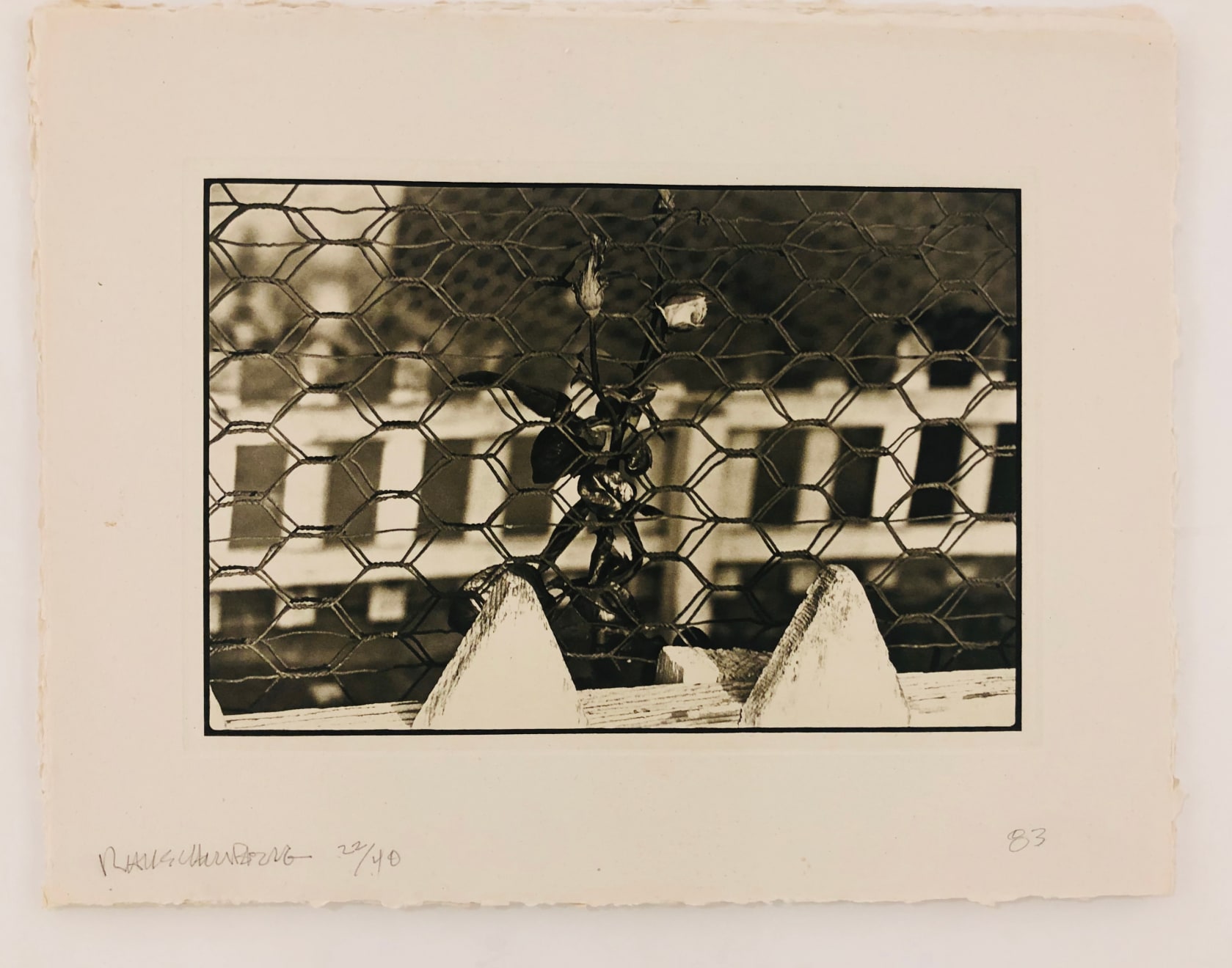 Robert Rauschenberg, American Mix 16, 1983