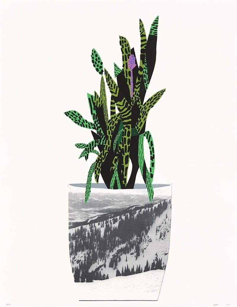 Jonas Wood, Untitled, 2014
