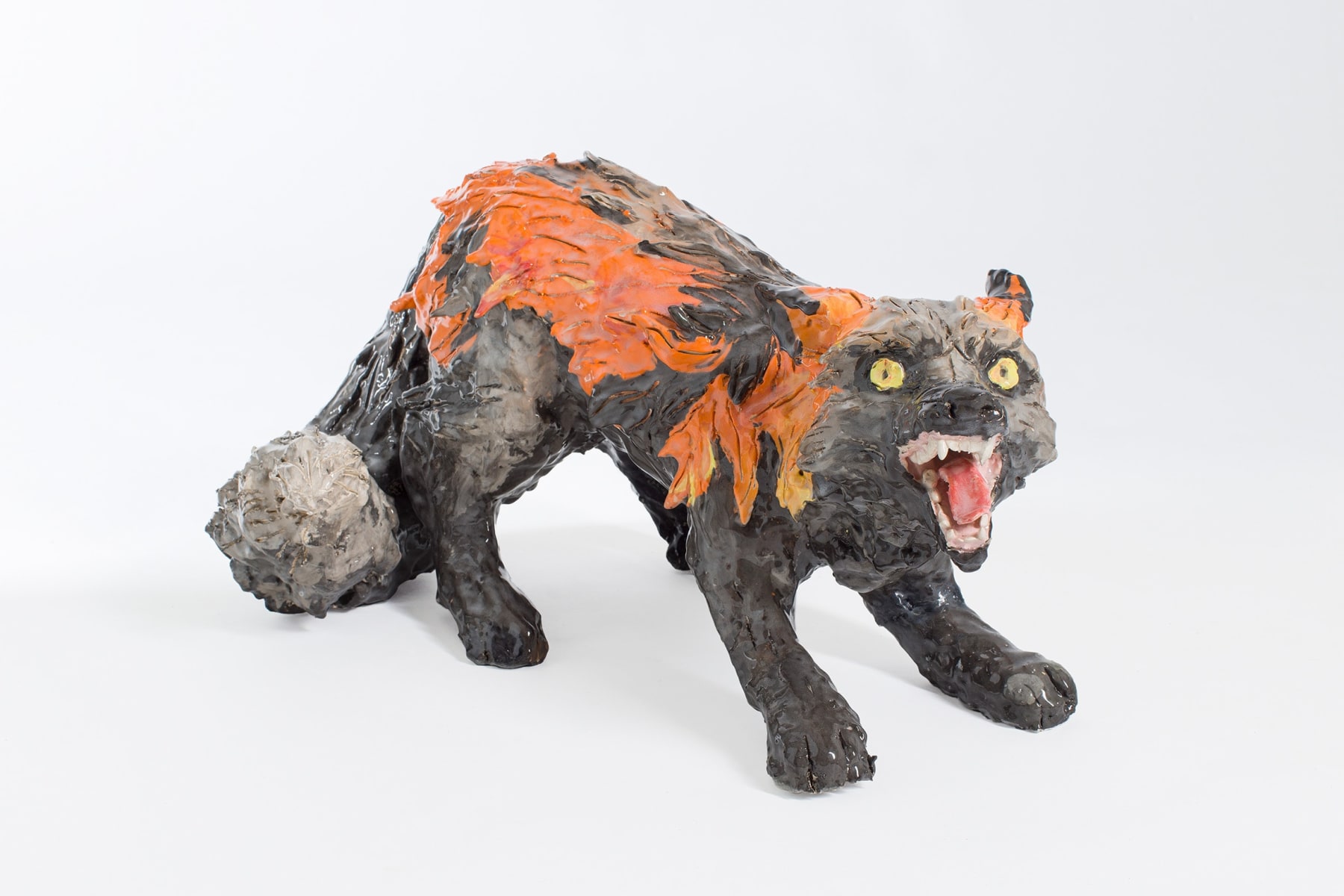 Julio Galindo, Zorro, 2022