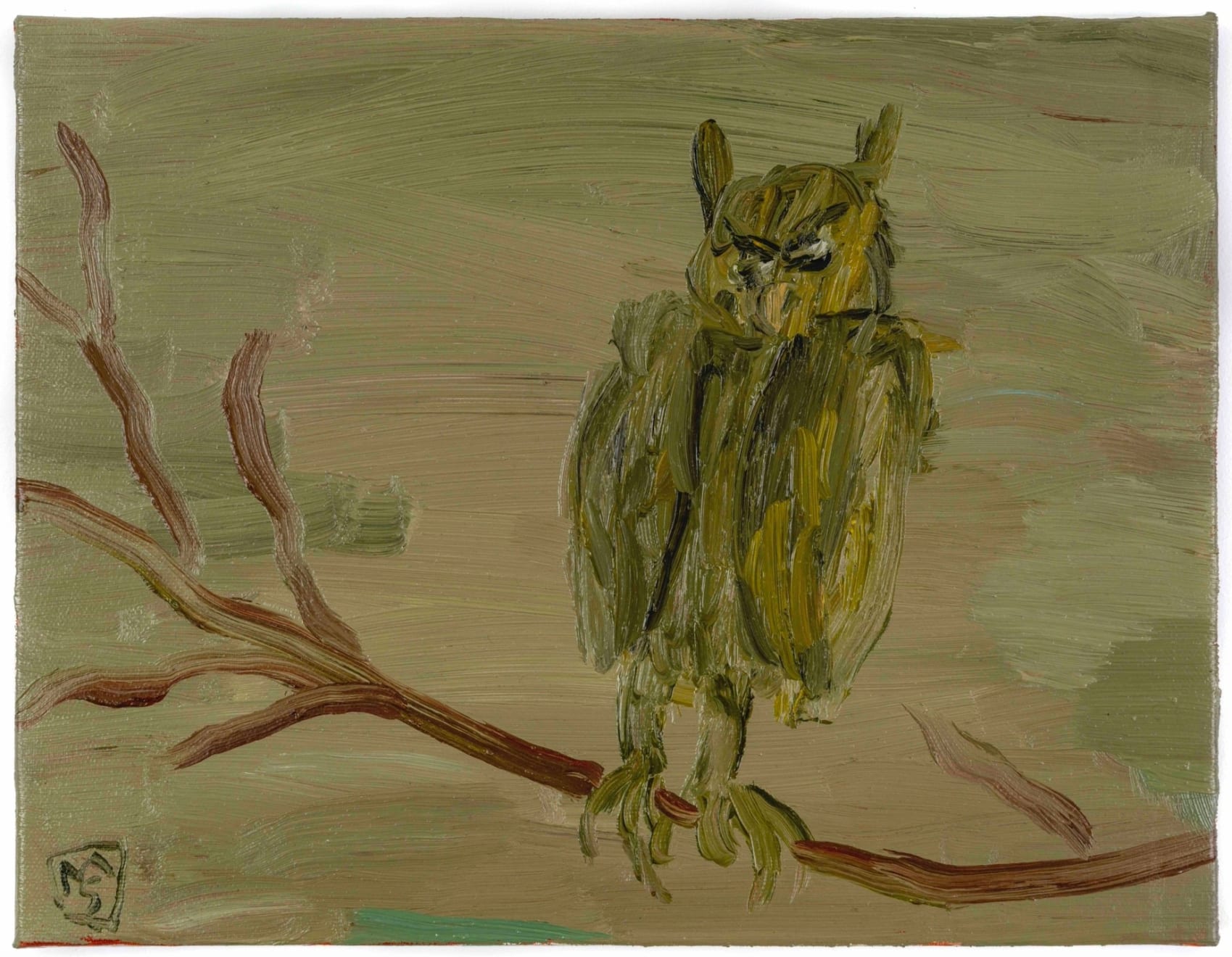 Matías Sánchez, Buho, 2016