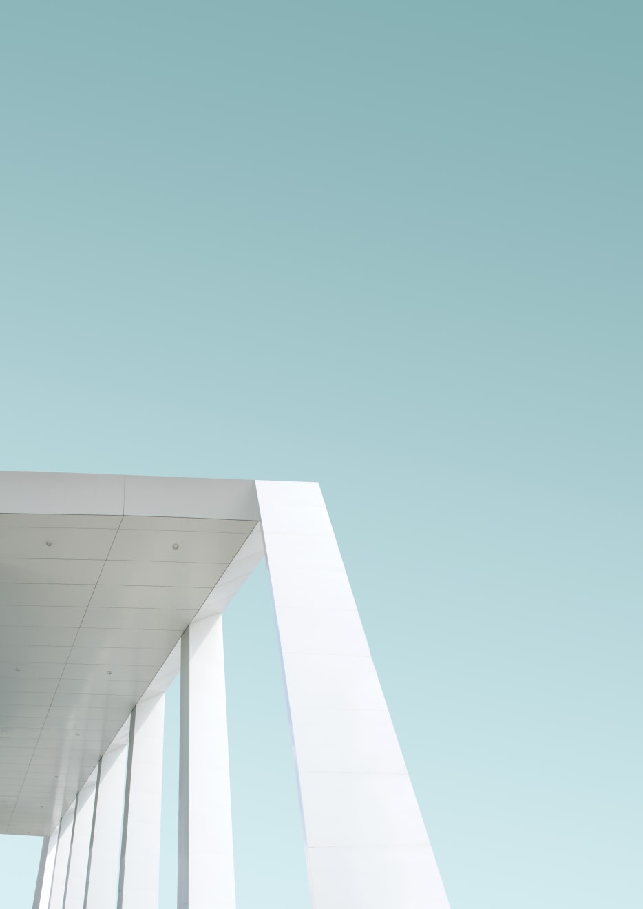 Luisa Schultz, Untitled, 2018