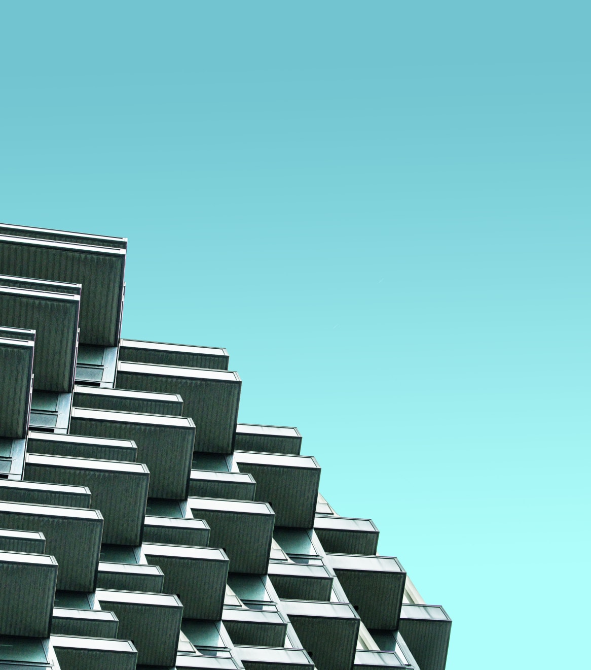 Luisa Schultz, Untitled, 2018