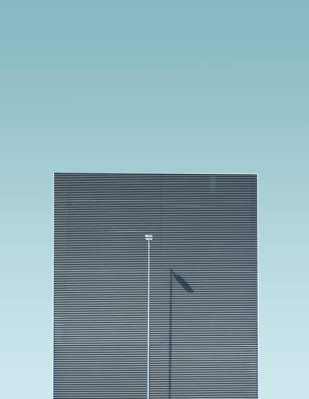 Luisa Schultz, Untitled, 2018