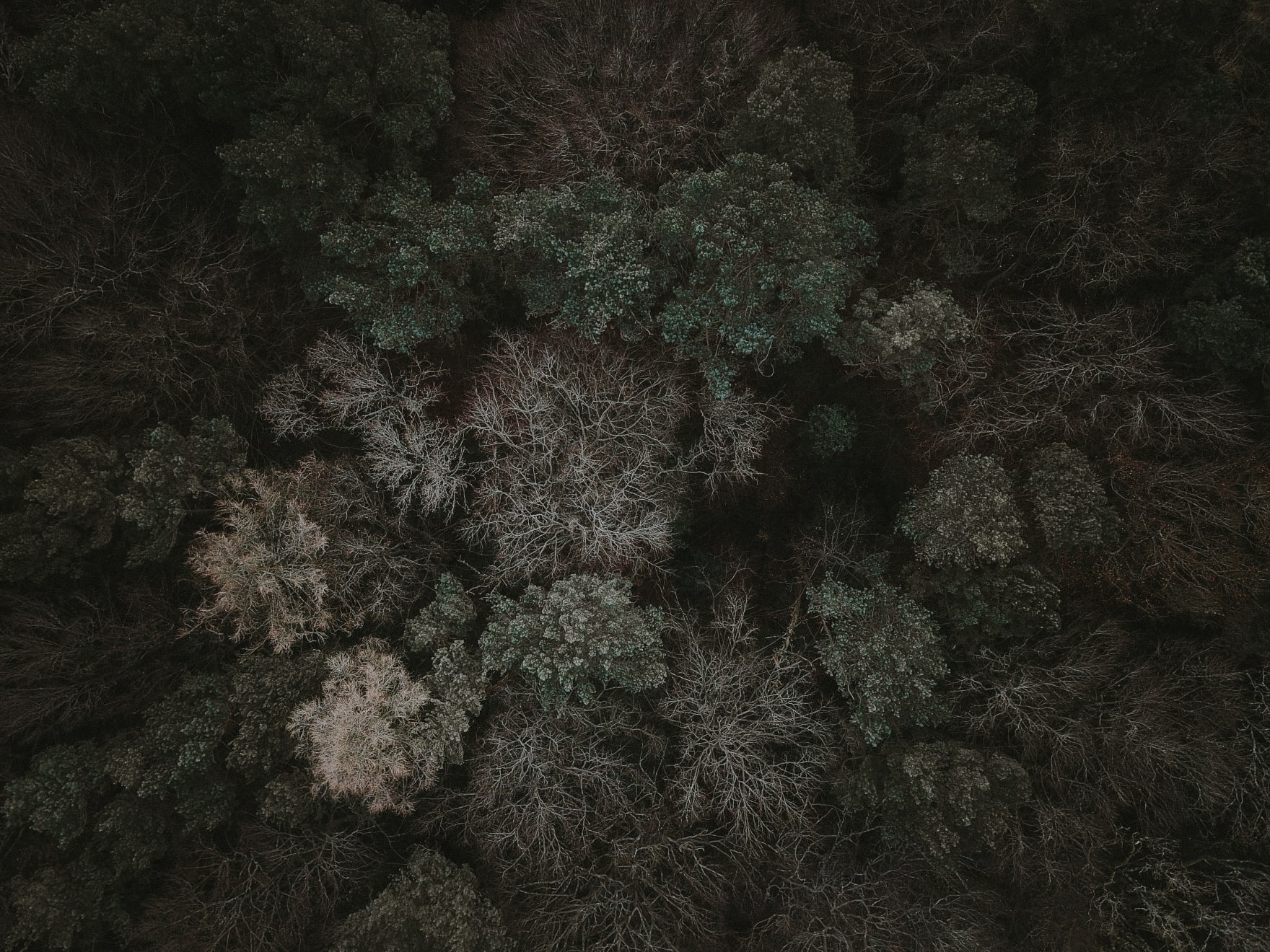 Katrina Forrest, Untitled, 2013