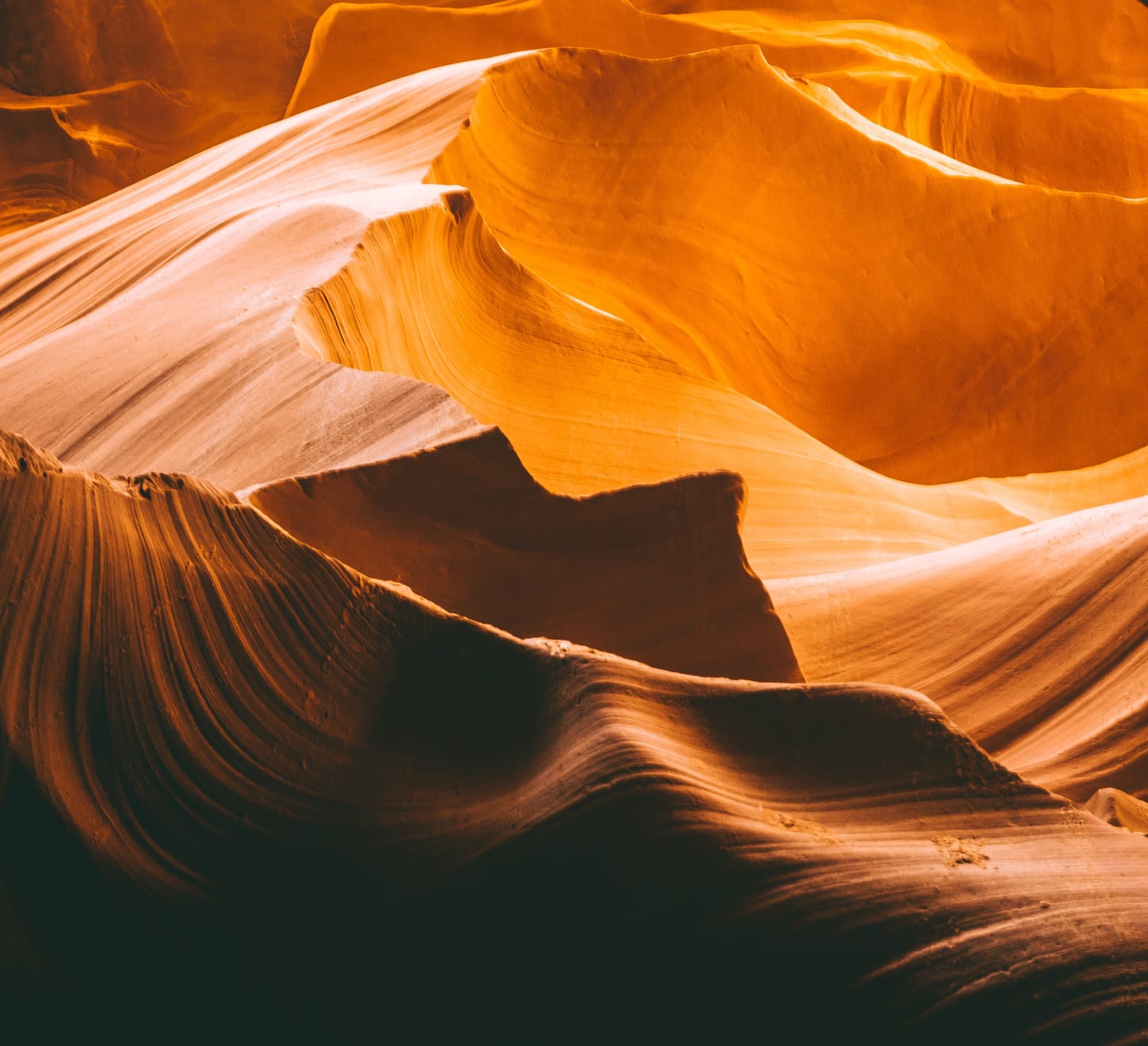 Edie Wolf, Untitled, 1998