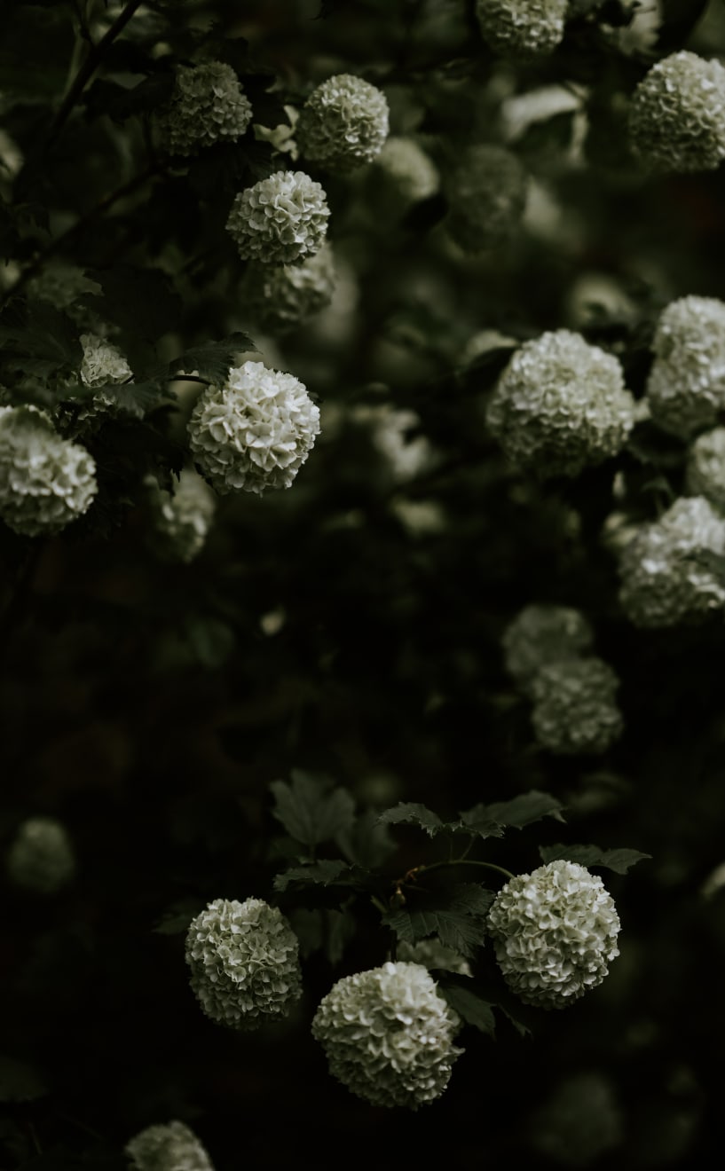 Katrina Forrest, Untitled, 2013